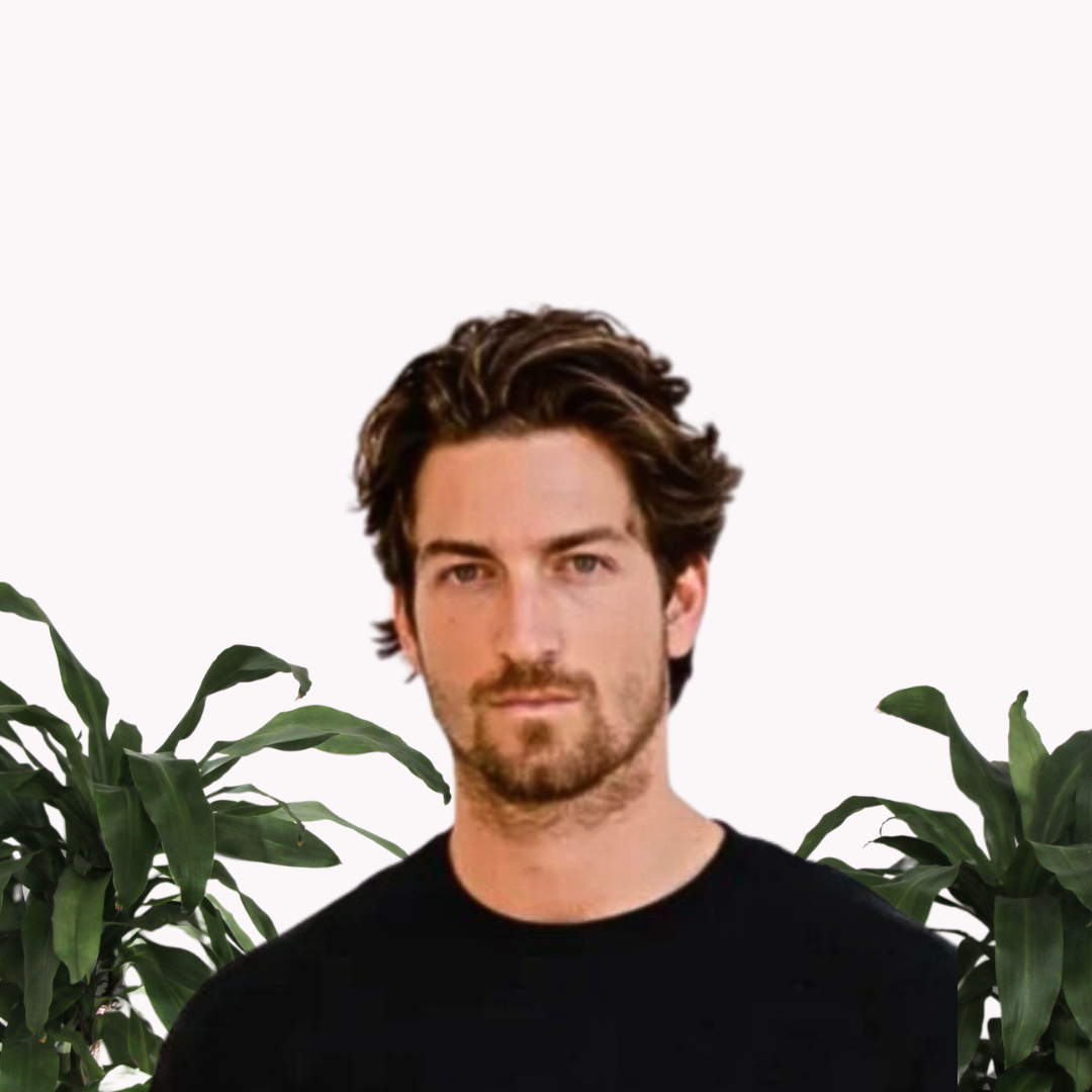 Hugo White
